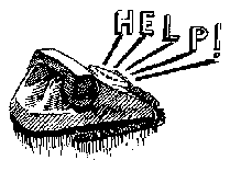 ����� 51-20-40!