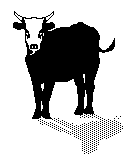  (1 kb)